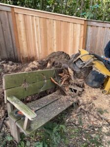 uprooted stump removal
